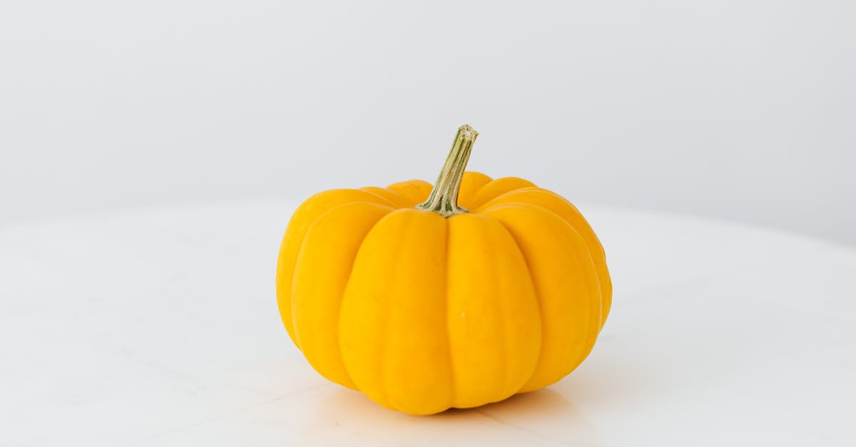 Dutch vegetable cordon-bleu - Yellow Pumpkin on White Surface Dutch vegetable cordon-bleu - Yellow Pumpkin on White Surface