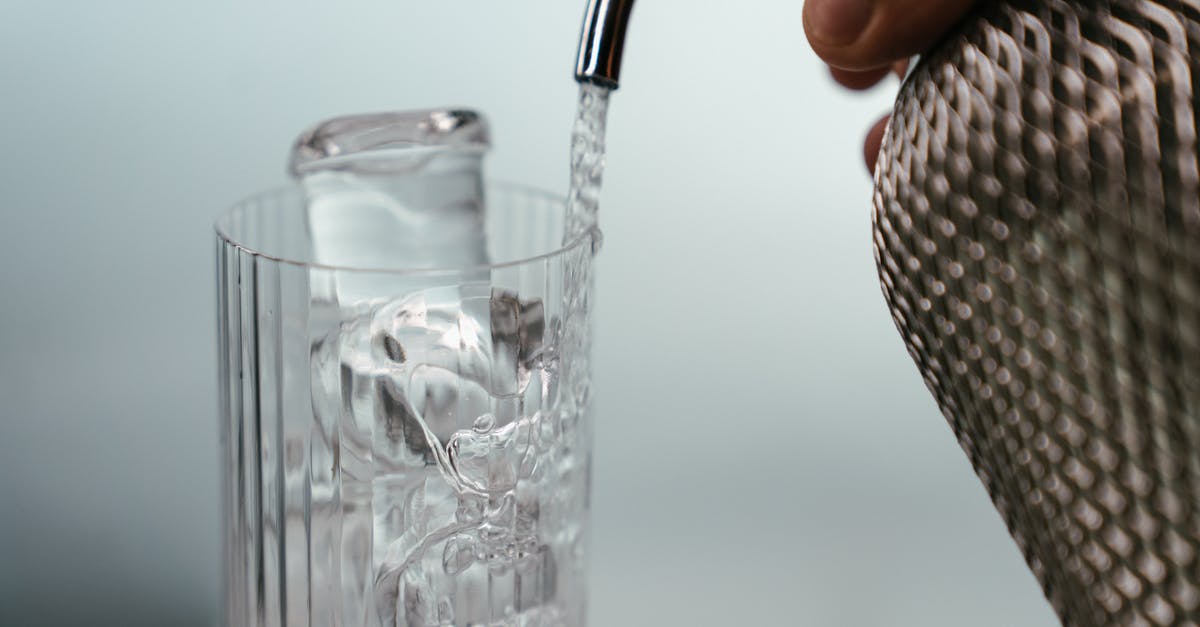 eco-friendly whipping siphon - Person Holding Clear Drinking Glass eco-friendly whipping siphon - Person Holding Clear Drinking Glass