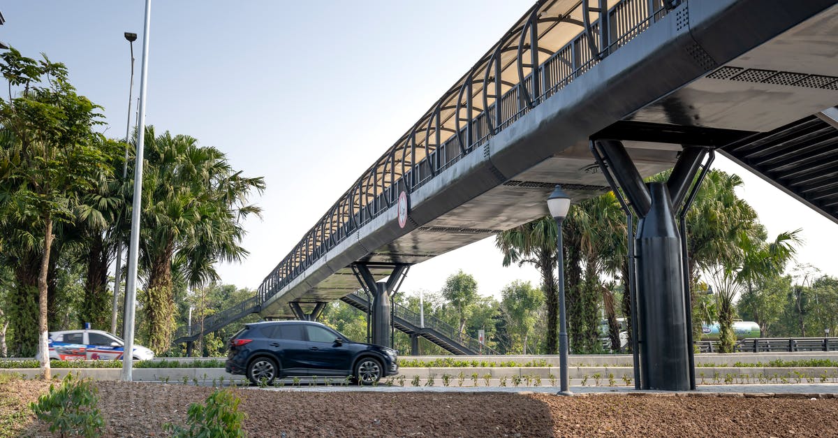 Edible supports for a fondant palm tree - Automobiles on roadways with fenced bridge between palm trees under light sky in town on sunny day Edible supports for a fondant palm tree - Automobiles on roadways with fenced bridge between palm trees under light sky in town on sunny day