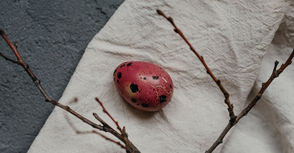 Egg Substitutions in a Quiche - Free stock photo of art, baking, bird Egg Substitutions in a Quiche - Free stock photo of art, baking, bird