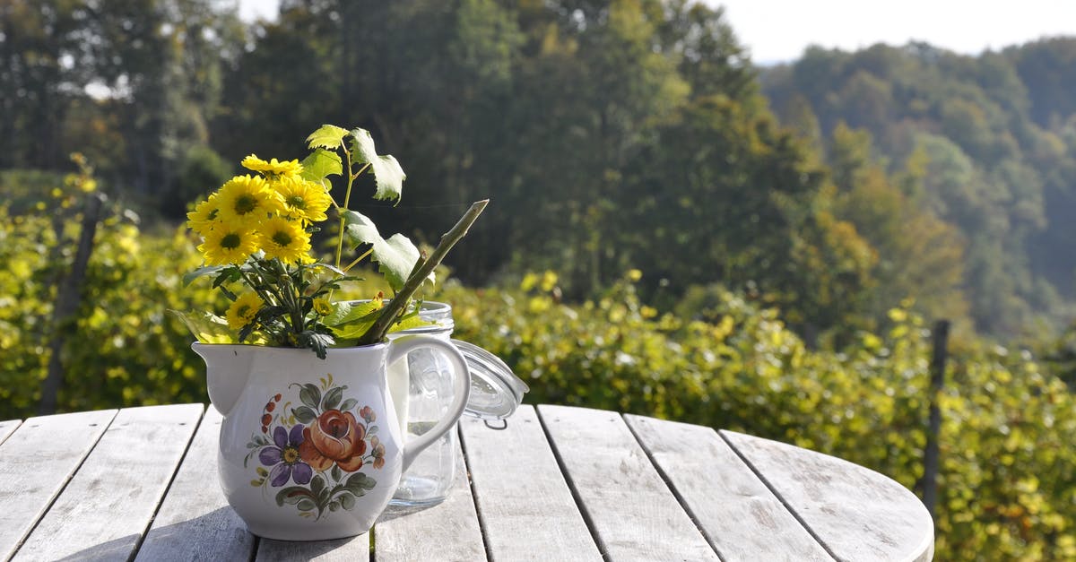 enamelled pot with a chip on the outside on the bottom - Flower Arrangement in Vase enamelled pot with a chip on the outside on the bottom - Flower Arrangement in Vase