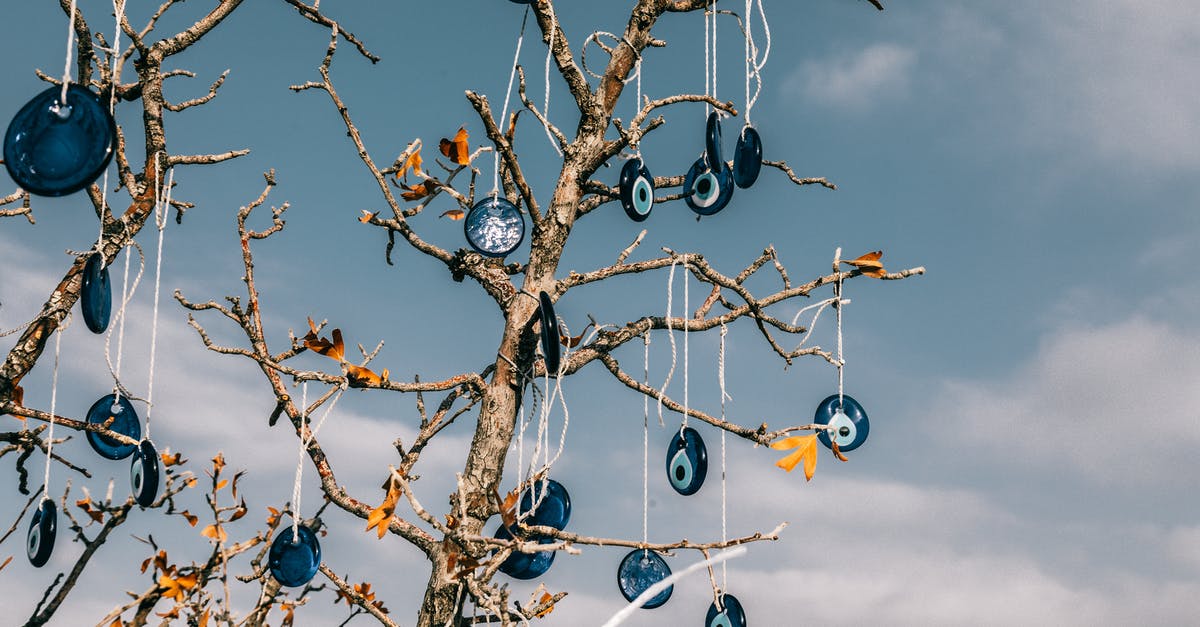 Ensuring dry-brined turkey process is safe - From below of traditional blue eye shaped nazar amulets protecting form evil eye hanging on leafless tree branches against cloudy blue sky in Cappadocia Ensuring dry-brined turkey process is safe - From below of traditional blue eye shaped nazar amulets protecting form evil eye hanging on leafless tree branches against cloudy blue sky in Cappadocia