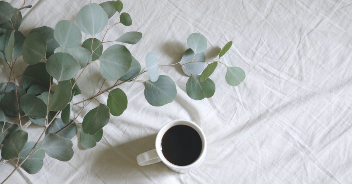 Eucalyptus tea: is it safe to drink? - Flat Lay Photography of White Mug Beside Green Leafed Plants Eucalyptus tea: is it safe to drink? - Flat Lay Photography of White Mug Beside Green Leafed Plants