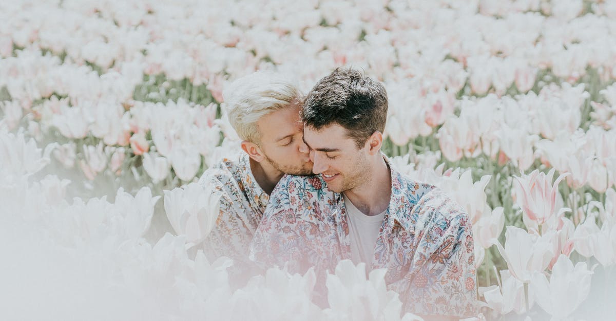 Expiry date of custard powder? - Two Man Sitting on Pink Flower Field Expiry date of custard powder? - Two Man Sitting on Pink Flower Field