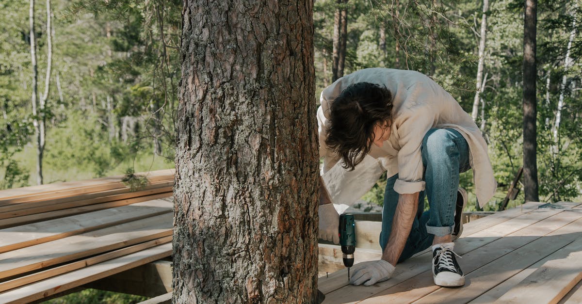 factors affecting the flavor of cinchona bark - Free stock photo of boardwalk, bridge, child factors affecting the flavor of cinchona bark - Free stock photo of boardwalk, bridge, child