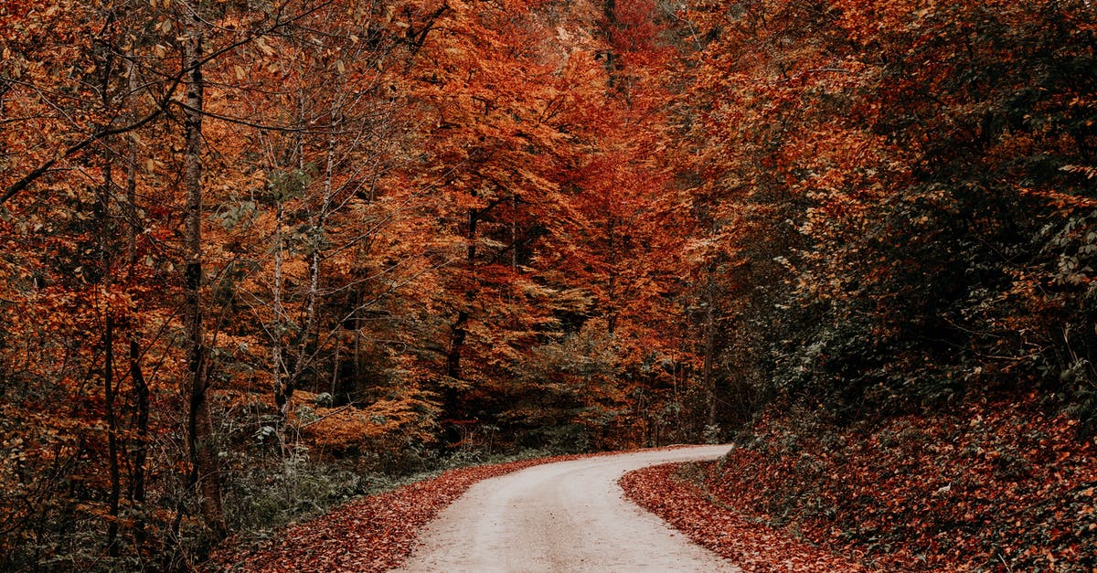 Fastest way to peel and dice vegetables? - Rural road running through yellow autumn forest Fastest way to peel and dice vegetables? - Rural road running through yellow autumn forest