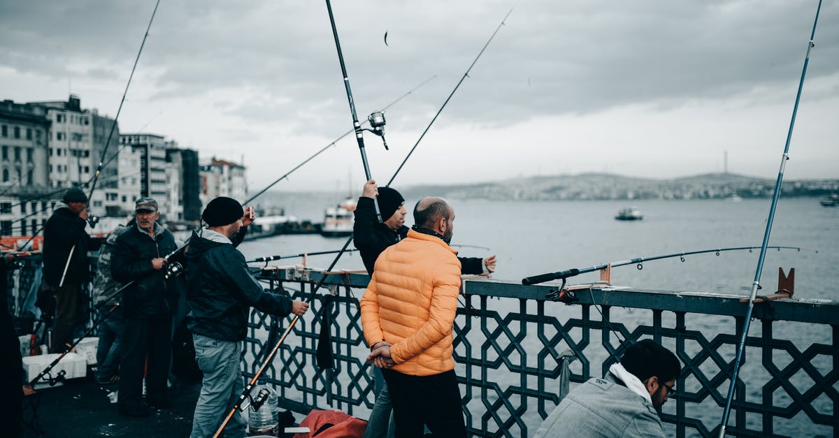 Fish balls aren't bouncy and fall apart easily - Group of unrecognizable fishermen with fishing rods standing on embankment near sea and buildings under cloudy sky in autumn day Fish balls aren't bouncy and fall apart easily - Group of unrecognizable fishermen with fishing rods standing on embankment near sea and buildings under cloudy sky in autumn day