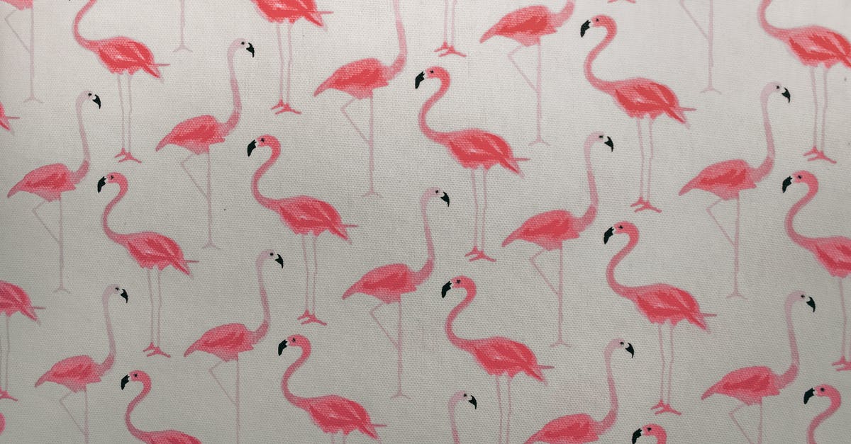 Fishhouse Punch: Peach Brandy vs Schnapps - Pink Flamingo Printed Paper Fishhouse Punch: Peach Brandy vs Schnapps - Pink Flamingo Printed Paper
