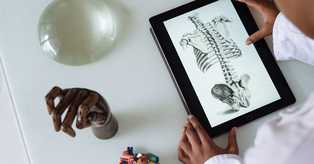 Flavour combinations - structural analysis - Unrecognizable African American scientist studying anatomy with tablet Flavour combinations - structural analysis - Unrecognizable African American scientist studying anatomy with tablet