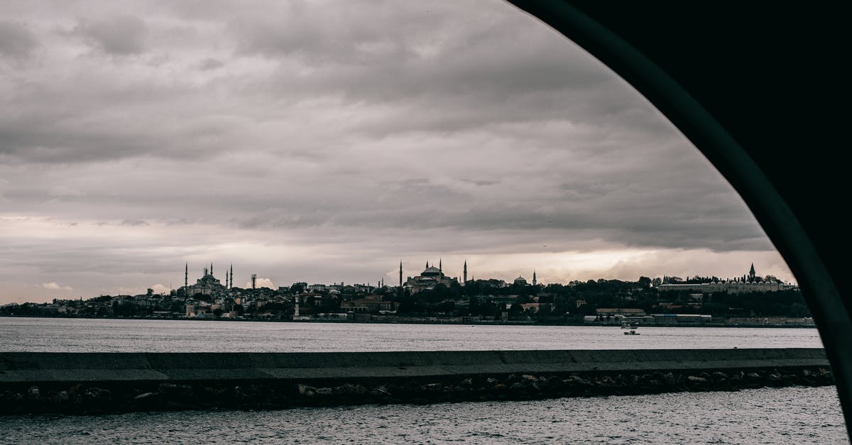 Fluids in a turkey - Grayscale Photo of City Skyline Fluids in a turkey - Grayscale Photo of City Skyline