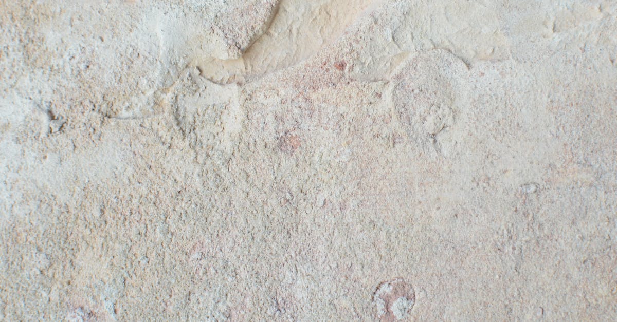Found some spots on dry aged beef, getting slimy. Need advice - From above of abstract backdrop of old wall with beige stucco and uneven surface with dense texture