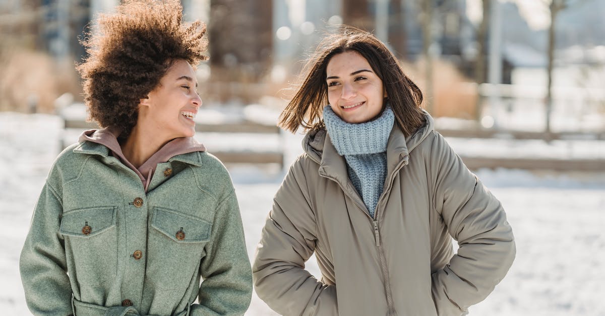 Freeze friendly baked side dishes - Carefree young multiethnic female friends in warm clothes walking together with hands in pockets on snowy city street and chatting Freeze friendly baked side dishes - Carefree young multiethnic female friends in warm clothes walking together with hands in pockets on snowy city street and chatting
