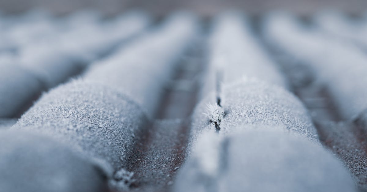 Freezing Indian chicken curry---how to retain texture and flavor? - Selective Focus Photography of Frozen Roof Freezing Indian chicken curry---how to retain texture and flavor? - Selective Focus Photography of Frozen Roof