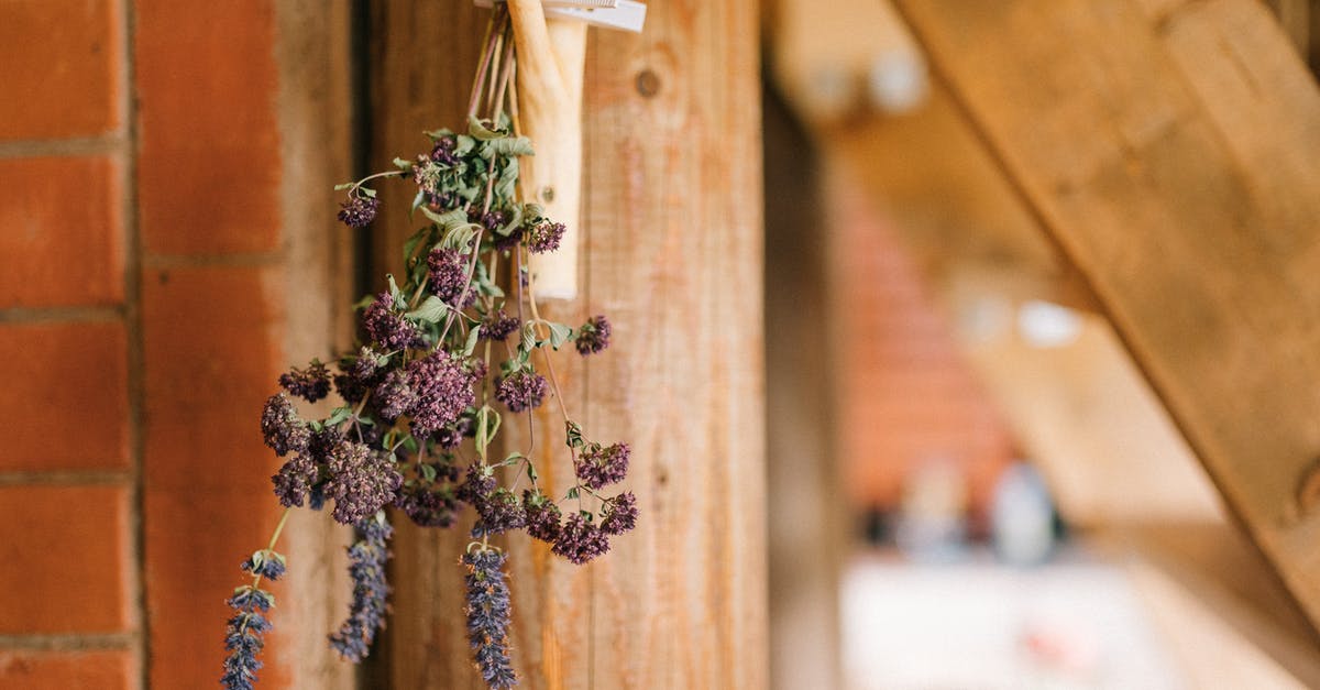 Freezing or drying "hardy" herbs - Hanging Flowers to Dry Freezing or drying "hardy" herbs - Hanging Flowers to Dry