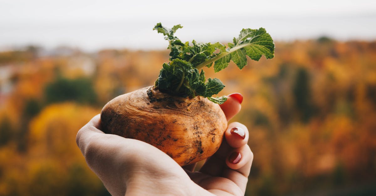 Freezing potato mash made with root and fresh vegetables - Brown Potato Freezing potato mash made with root and fresh vegetables - Brown Potato