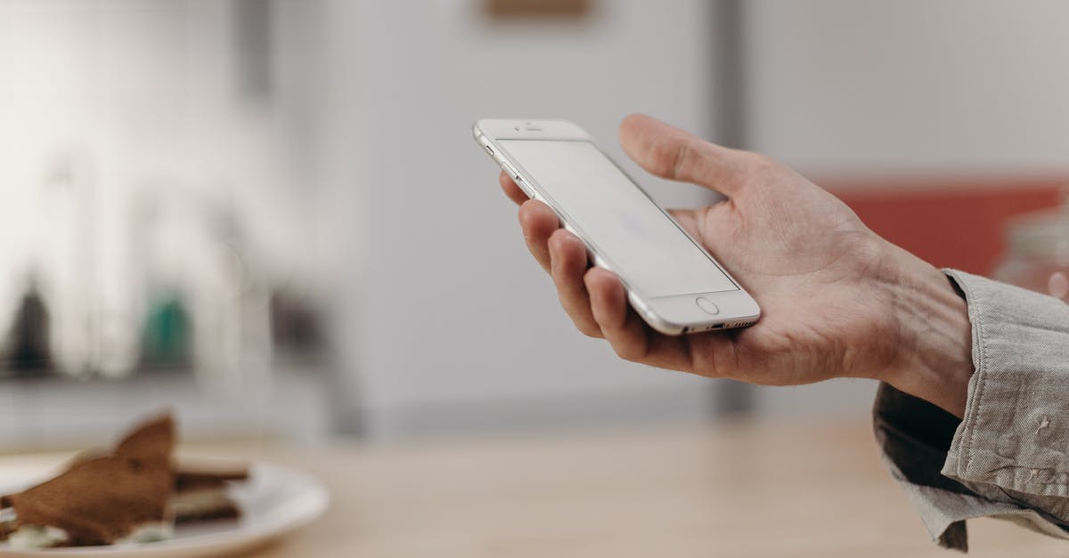 Freezing sandwiches for toasting at work - Person Holding White Iphone 5 C