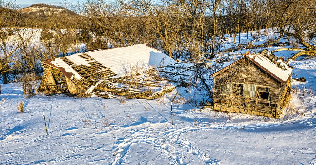 Freezing Tomatoes for Winter? - Brown Wooden House Covered With Snow Freezing Tomatoes for Winter? - Brown Wooden House Covered With Snow