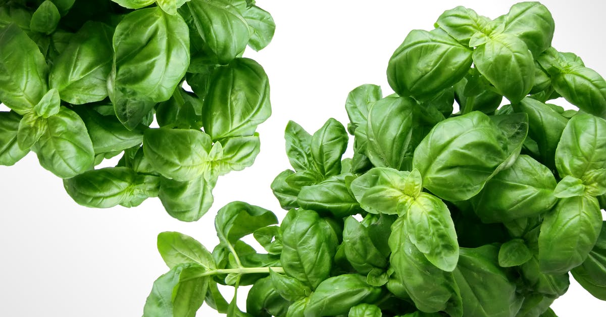 Fresh basil storage - Green Leaf Plant Fresh basil storage - Green Leaf Plant