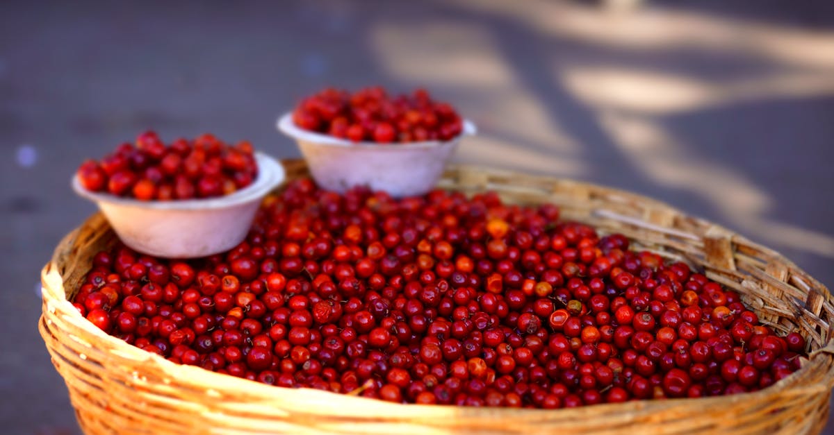 Fresh cranberries OR frozen cranberries - Cranberries in a Basket Fresh cranberries OR frozen cranberries - Cranberries in a Basket