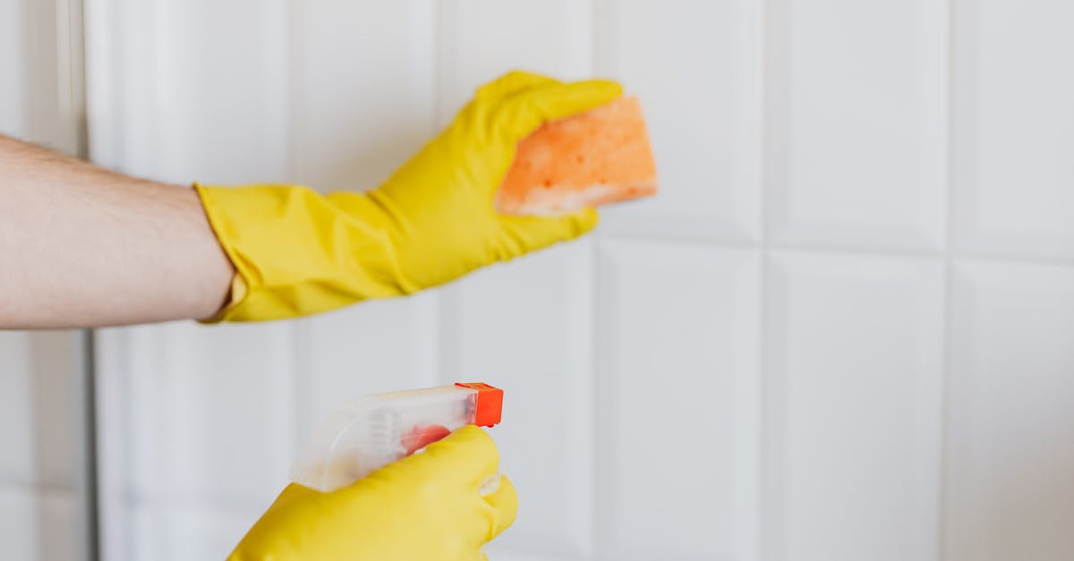 Fresh pasta work surface - Crop person in rubber gloves cleaning tiles Fresh pasta work surface - Crop person in rubber gloves cleaning tiles