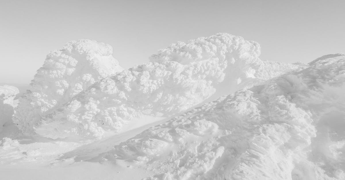 Frozen Kefir Grains Seem Dead...Any Suggestions? - Snow Covered Mountain Frozen Kefir Grains Seem Dead...Any Suggestions? - Snow Covered Mountain