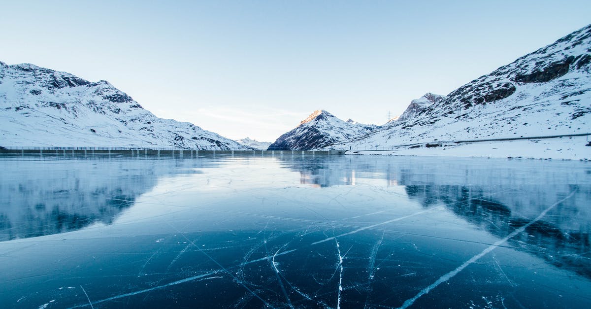 Frozen prawns - blue dye - Ice River Photography Frozen prawns - blue dye - Ice River Photography