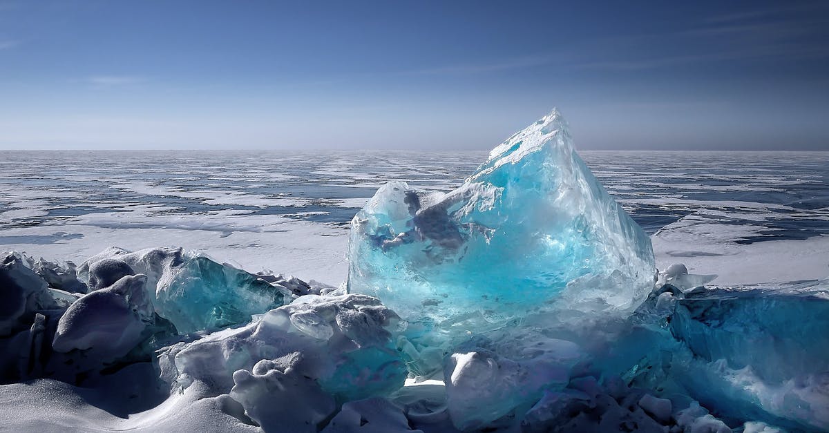 Frozen sea squirts: any suggests on cleaning/preparing? - Ice Formation Frozen sea squirts: any suggests on cleaning/preparing? - Ice Formation