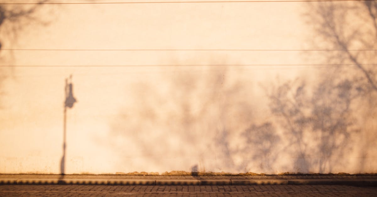 Furthering the dry aging process post purchase? - Tramways on roadway against wall with tree shadows in town Furthering the dry aging process post purchase? - Tramways on roadway against wall with tree shadows in town