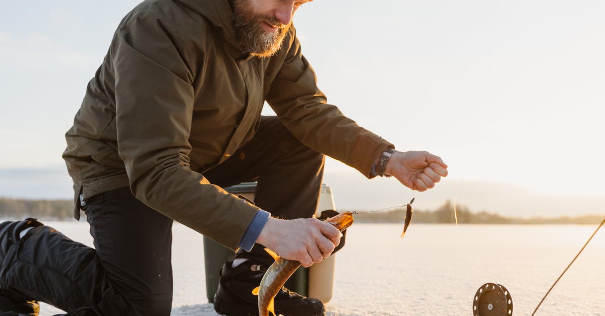 Good Frozen Fish /seafood - A Man Holding a Fish Good Frozen Fish /seafood - A Man Holding a Fish