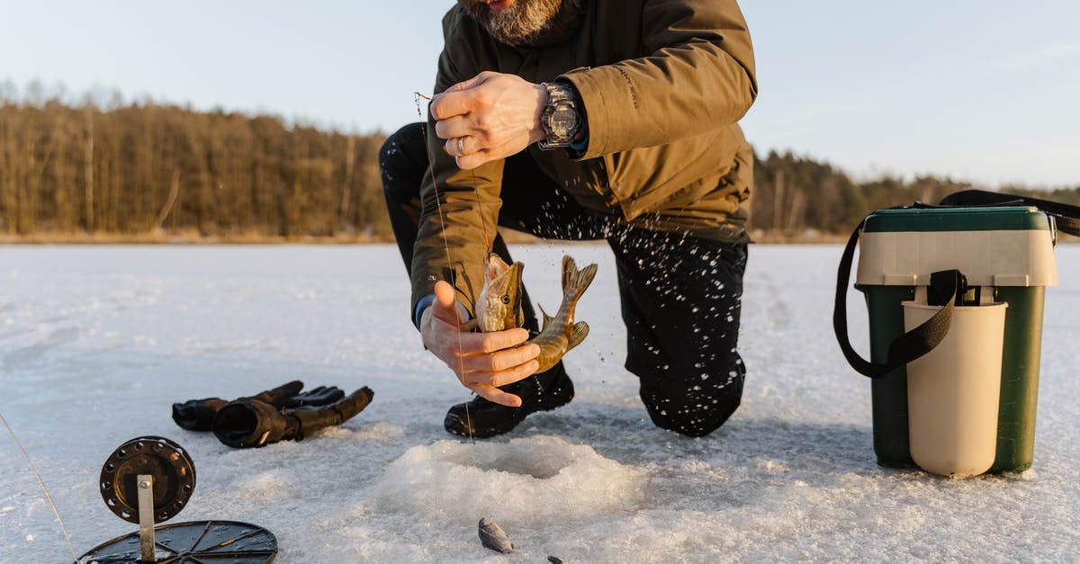 Good Frozen Fish /seafood - A Man Holding a Fish Good Frozen Fish /seafood - A Man Holding a Fish