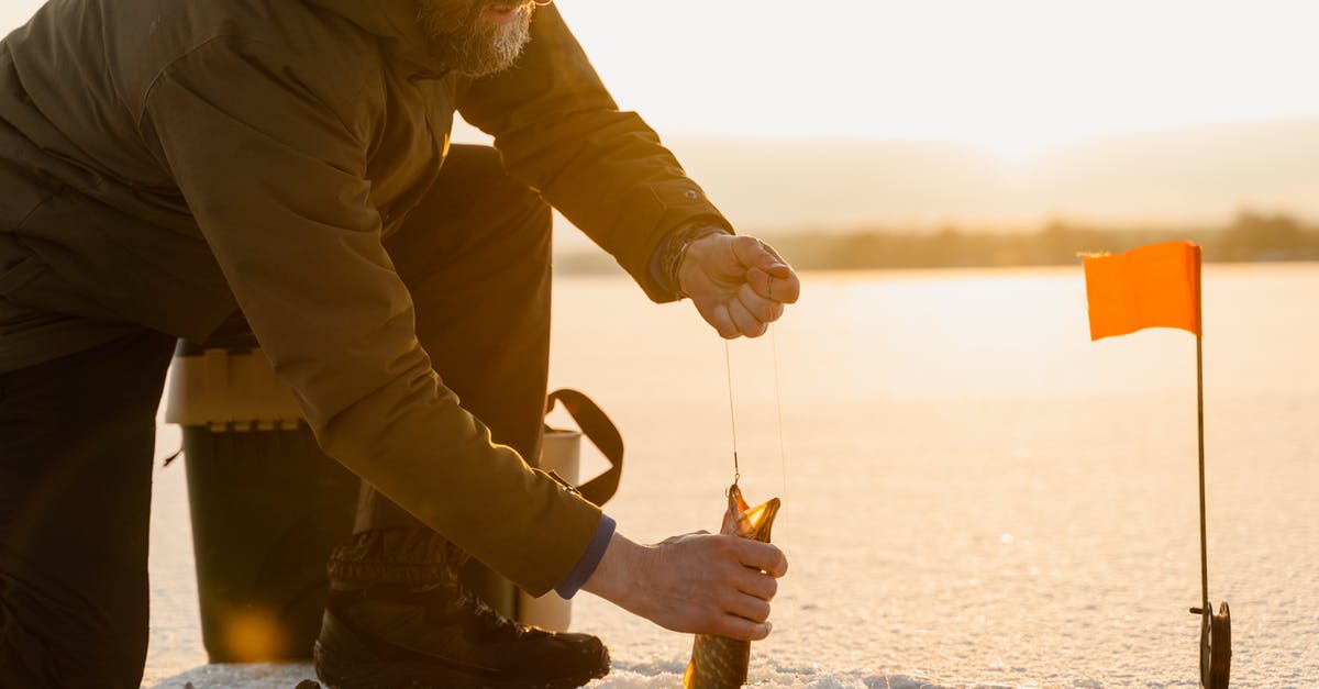 Good Frozen Fish /seafood - A Man Holding a Fish Good Frozen Fish /seafood - A Man Holding a Fish
