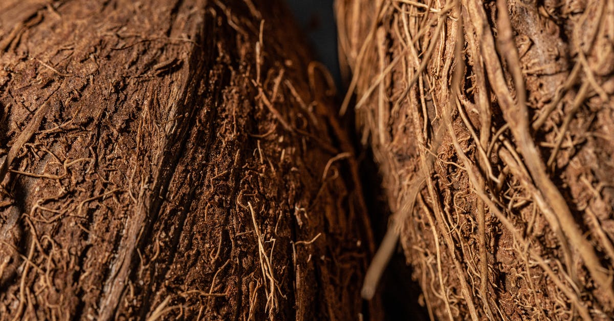 Grainy texture from creamed coconut - Close-Up Shot of Coconut Fiber Grainy texture from creamed coconut - Close-Up Shot of Coconut Fiber
