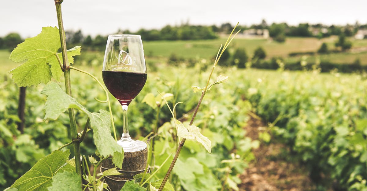 Grape vinegar vs wine vinegar - Glass Filled with Wine Grape vinegar vs wine vinegar - Glass Filled with Wine