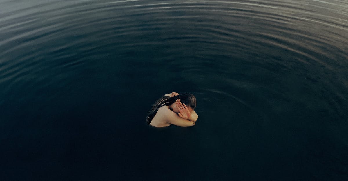Gratin without a broiler - White Swan on Body of Water Gratin without a broiler - White Swan on Body of Water