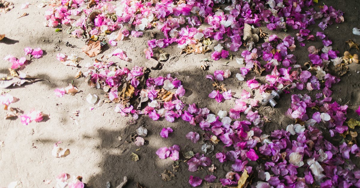 Ground beef stays pink for 10 days, doesn’t seem right - Fallen bright petals on ground