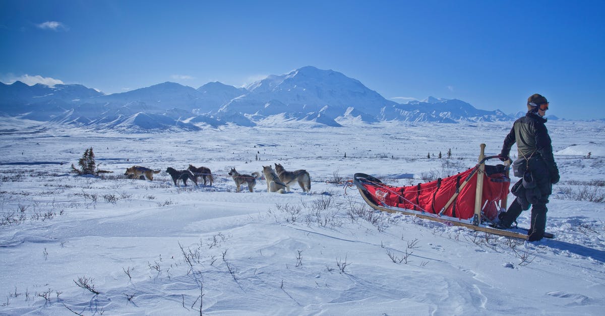 Had my frozen hot dogs gone rancid? - Man Standing Beside Sleigh Had my frozen hot dogs gone rancid? - Man Standing Beside Sleigh