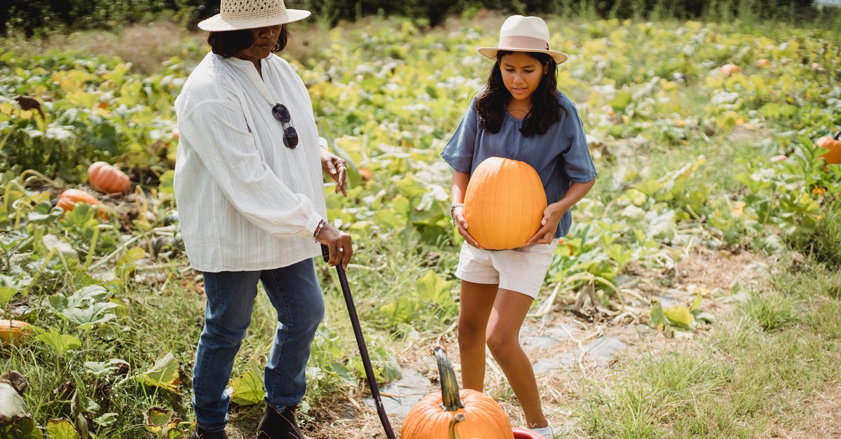 Help Identifying a pale green, spherical squash-y like vegetable - Full body of female farmer holding cart near young girl with pumpkin in rural field Help Identifying a pale green, spherical squash-y like vegetable - Full body of female farmer holding cart near young girl with pumpkin in rural field