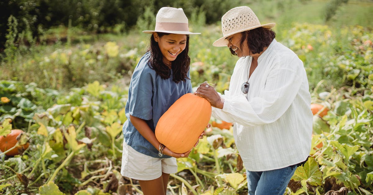 Help Identifying a pale green, spherical squash-y like vegetable - Happy Hispanic woman with daughter holding pumpkin Help Identifying a pale green, spherical squash-y like vegetable - Happy Hispanic woman with daughter holding pumpkin