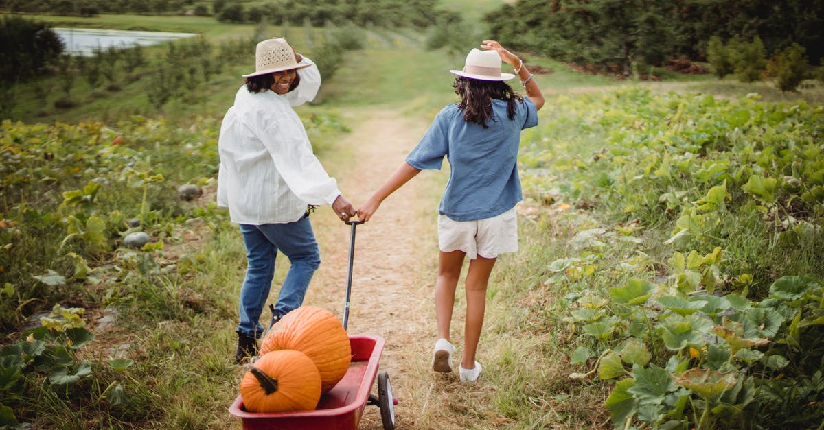 Help identifying squash - Happy woman with daughter in pumpkin field Help identifying squash - Happy woman with daughter in pumpkin field