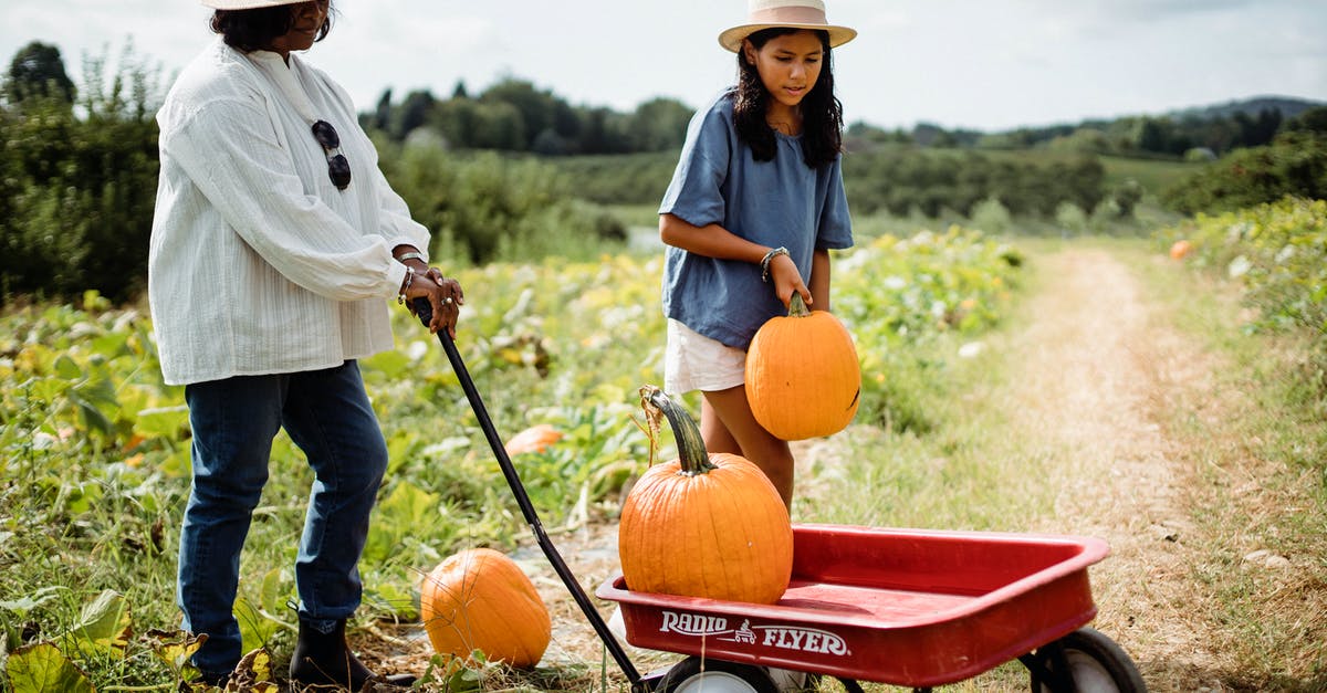 Help identifying squash - Hispanic woman with daughter in pumpkin field Help identifying squash - Hispanic woman with daughter in pumpkin field