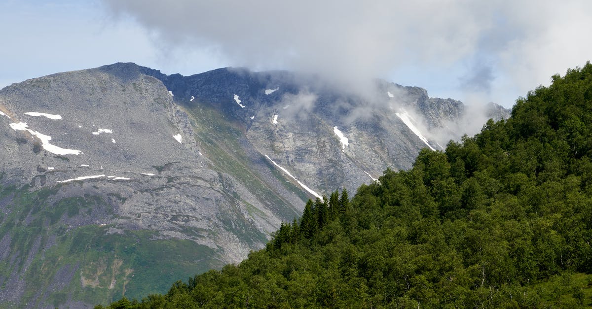 Help! Liege Waffle excessively dense - The contrast between a hill with green pine forest and another with bare lifeless rocks