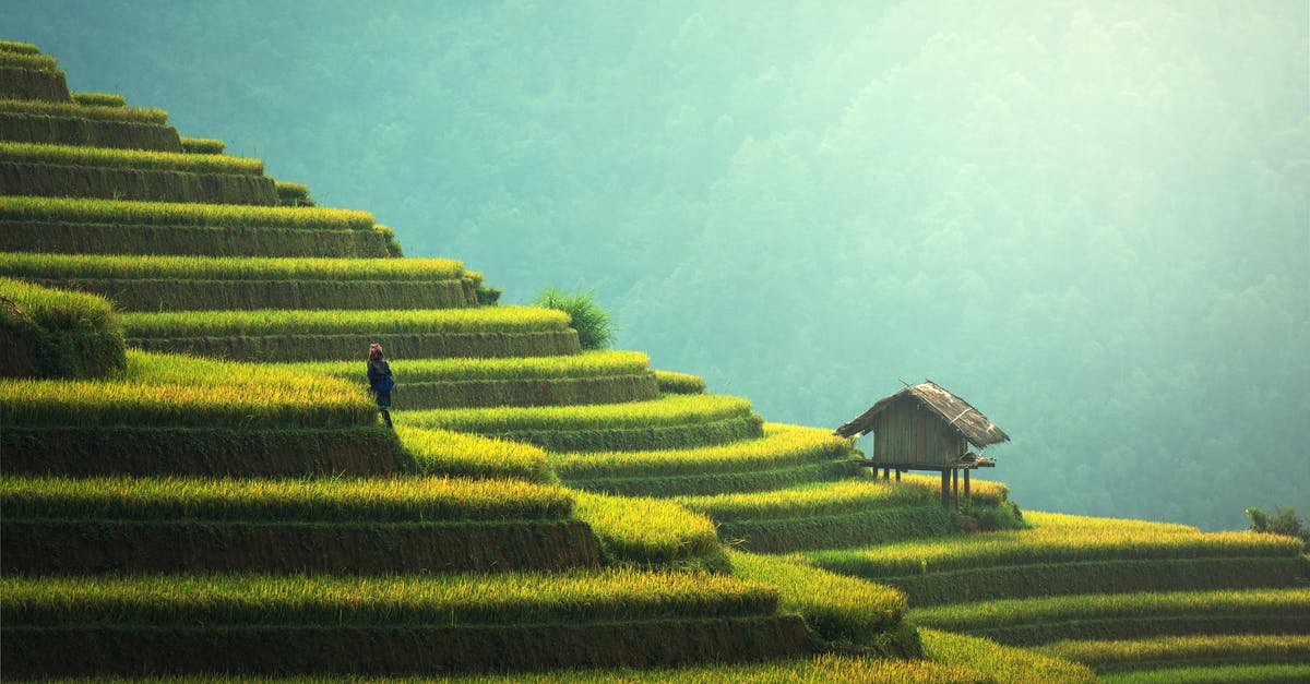 Home made Rice Milk that's not slimy or chalky? - Person Standing on Terraces Home made Rice Milk that's not slimy or chalky? - Person Standing on Terraces