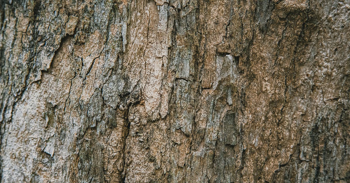 Homemade taffy turned out too thick and hard - Textured backdrop of aged tree trunk with rough irregular surface and dense structure in daytime Homemade taffy turned out too thick and hard - Textured backdrop of aged tree trunk with rough irregular surface and dense structure in daytime