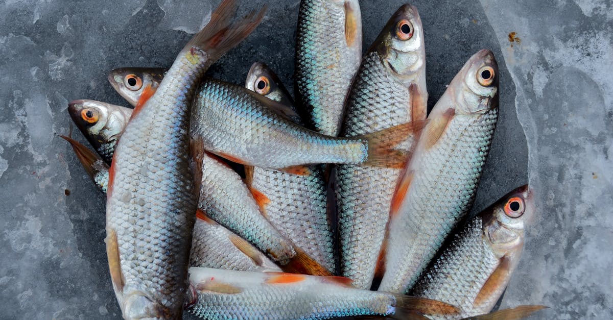 How are fresh fish shipped across continents? - Fish Catch How are fresh fish shipped across continents? - Fish Catch