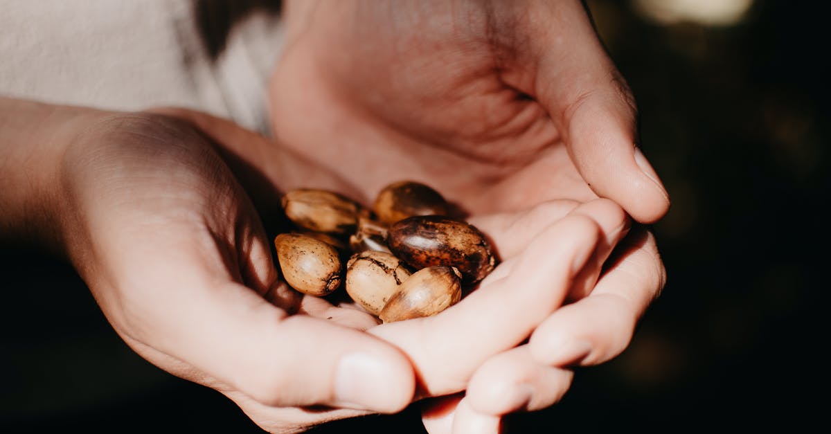 How are wasabi nuts made? - Person Holding White and Brown Stones How are wasabi nuts made? - Person Holding White and Brown Stones
