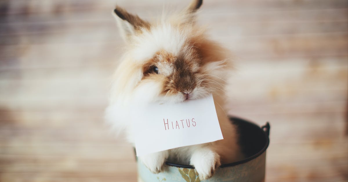 How can I get a better looking crust on my baguettes? - Selective Focus Photo of Guinea Pig Holding Card How can I get a better looking crust on my baguettes? - Selective Focus Photo of Guinea Pig Holding Card