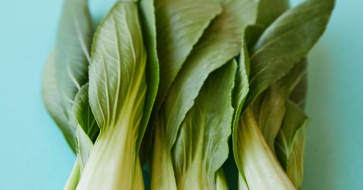 How can I keep delicate food from sticking to the grill? - From above of verdant ripe leaves of pok choi placed on blue background How can I keep delicate food from sticking to the grill? - From above of verdant ripe leaves of pok choi placed on blue background