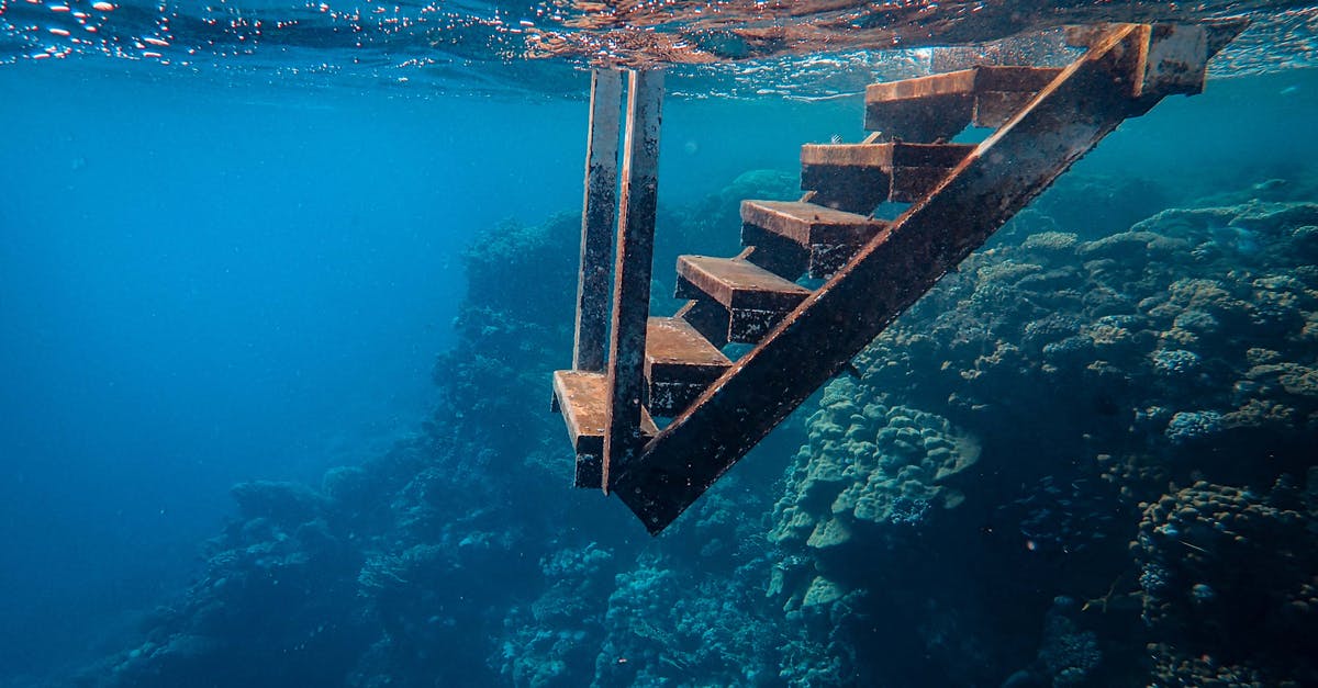 How can I keep tomatillos submerged in water during boiling? - View Of Wooden Steps Taken Underwater How can I keep tomatillos submerged in water during boiling? - View Of Wooden Steps Taken Underwater