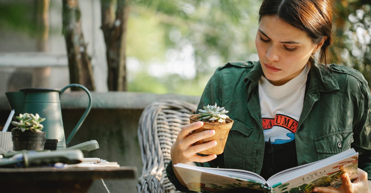 How can I learn to sharpen my Japanese knives properly? - Attentive young female grower with succulent plant in pot reading textbook while sitting in wicker armchair in garden How can I learn to sharpen my Japanese knives properly? - Attentive young female grower with succulent plant in pot reading textbook while sitting in wicker armchair in garden