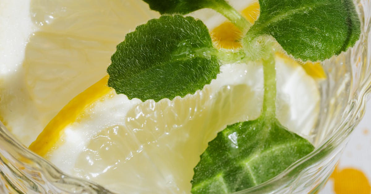 How can I make mocktails that actually taste like non-fruity cocktails? [closed] - Closeup glass of fresh alcohol drink with pieces of lemon and leaves of mint